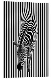 Cuadro de plexi-alu Zebra Stripes - Frank Daske