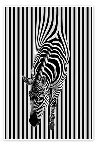 Poster Zebra Stripes