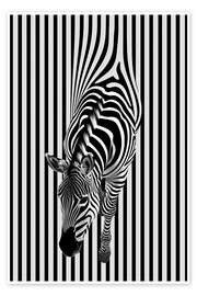 Poster Zebra Streifen - Frank Daske