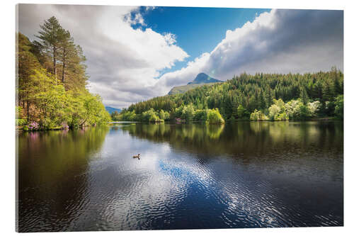 Stampa su vetro acrilico Reflections on a calm lake and the forest