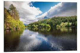 Aluminium print Reflections on a calm lake and the forest - George Pachantouris