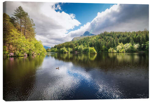 Tableau sur toile Reflections on a calm lake and the forest