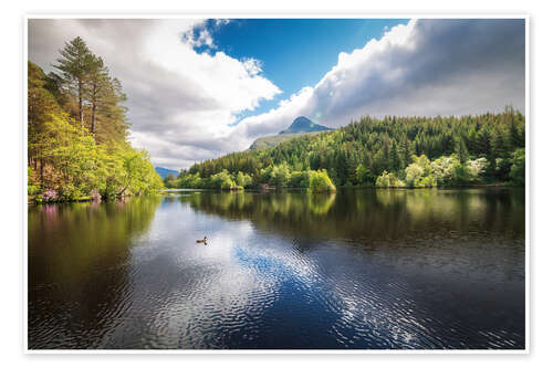 Póster Reflections on a calm lake and the forest