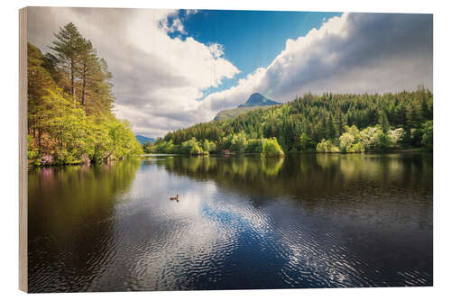 Cuadro de madera Reflections on a calm lake and the forest