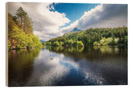 Cuadro de madera Reflections on a calm lake and the forest - George Pachantouris