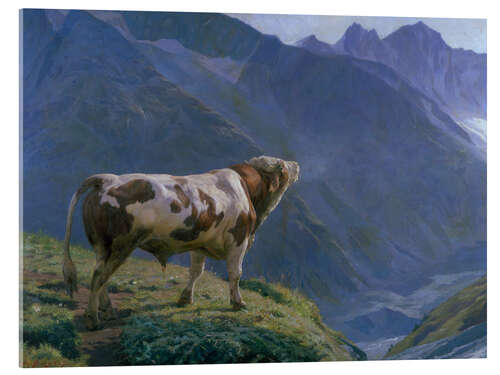 Akrylbillede The Bull in the Alps - Eugène Burnard, 1884