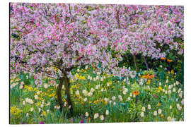 Alubild Der Frühling im Garten von Claude Monet, Giverny