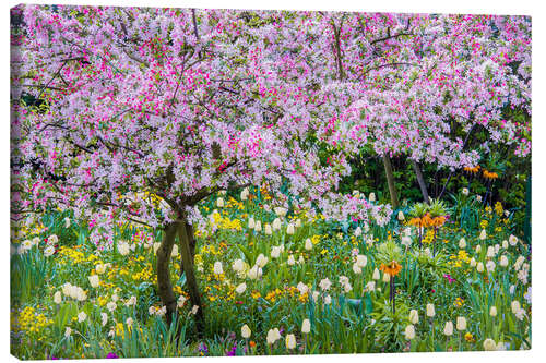 Quadro em tela Springtime in Claude Monet's garden, Giverny