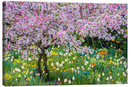 Quadro em tela Springtime in Claude Monet's garden, Giverny - Jones &amp; Shimlock