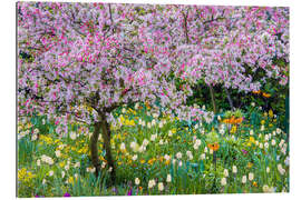 Cuadro de plexi-alu Springtime in Claude Monet's garden, Giverny