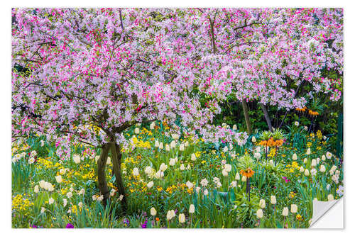 Sticker mural Springtime in Claude Monet's garden, Giverny