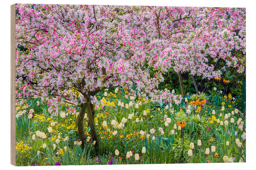 Tableau en bois Springtime in Claude Monet's garden, Giverny