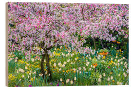 Wood print Springtime in Claude Monet's garden, Giverny - Jones &amp; Shimlock