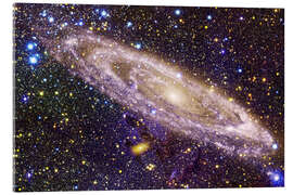 Stampa su vetro acrilico Starfield, cosmos art