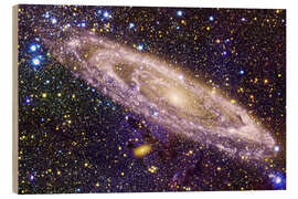 Puutaulu Starfield, cosmos art