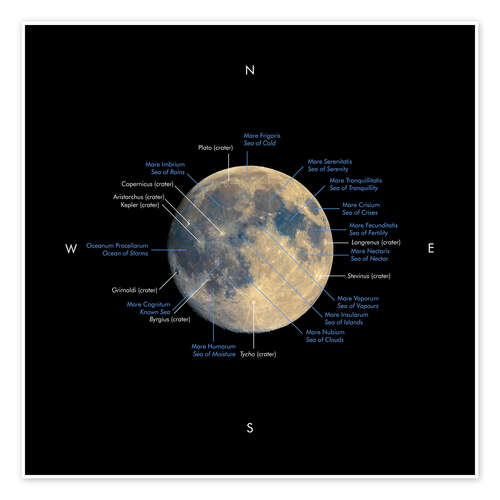 Póster Full Moon Map (English and Latin)