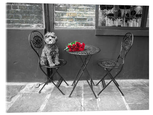 Tableau en verre acrylique Dog at cafe table