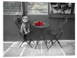 Tableau en verre acrylique Dog at cafe table - Assaf Frank