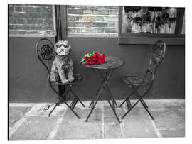 Aluminium print Dog at cafe table - Assaf Frank