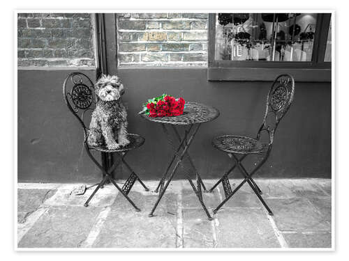 Plakat Dog at cafe table