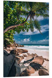 Aluminium print Tropical dream beach