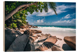 Tableau en bois Anse Georgette, Seychellen - Stefan Becker