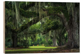 Cuadro de madera Deer at the live oaks - Martin Podt