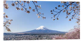 Quadro em acrílico Panoramic view of Mount Fuji during cherry blossom season