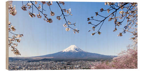 Holzbild Panoramablick auf den Fuji bei Kirschblüte