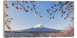 Quadro de madeira Panoramic view of Mount Fuji during cherry blossom season