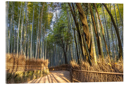 Acrylglas print Impressive Arashiyama Bamboo Forest