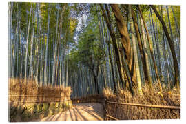 Acrylic print Impressive Arashiyama Bamboo Forest - Melanie Viola