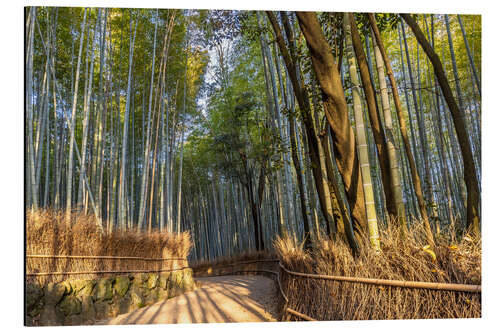 Alumiinitaulu Impressive Arashiyama Bamboo Forest