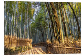 Cuadro de aluminio Impressive Arashiyama Bamboo Forest