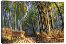 Quadro em tela Impressive Arashiyama Bamboo Forest - Melanie Viola