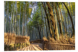 Hartschaumbild Beeindruckender Arashiyama Bambuswald