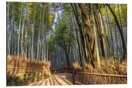 Magnettafel Beeindruckender Arashiyama Bambuswald