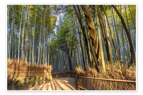 Poster Impressive Arashiyama Bamboo Forest