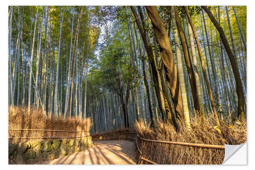 Adesivo murale Impressive Arashiyama Bamboo Forest