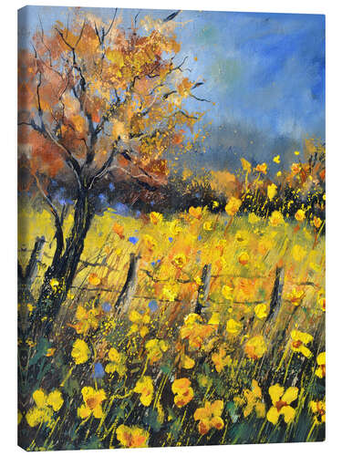 Obraz na płótnie Buttercups