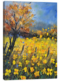 Obraz na płótnie Buttercups - Pol Ledent