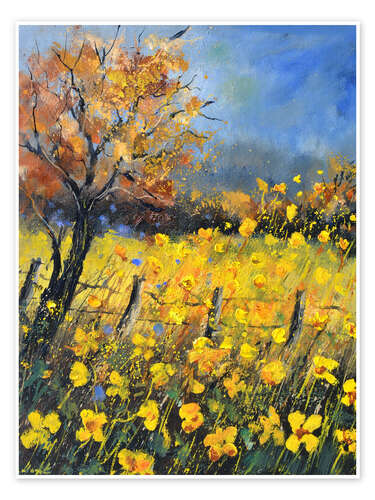 Poster Buttercups
