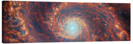 Lærredsbillede Whirlpool Galaxy M51 - NASA
