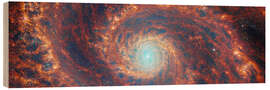 Puutaulu Whirlpool Galaxy M51 - NASA