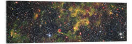 Obraz na szkle akrylowym Irregular galaxy NGC 6822