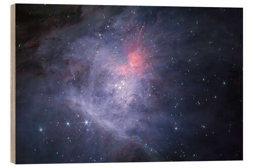 Puutaulu Gas and dust structures in which stars are formed