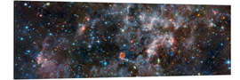 Quadro em alumínio Irregular Galaxy NGC 6822 - NASA