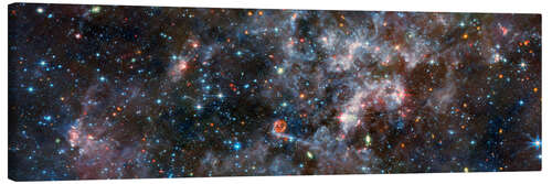 Canvas print Irregular Galaxy NGC 6822