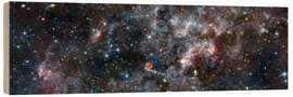 Tableau en bois Irregular Galaxy NGC 6822 - NASA