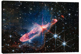 Lienzo Two actively forming stars, Herbig-Haro 46/47 - NASA